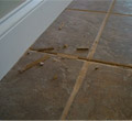 Grout Repair and Staining